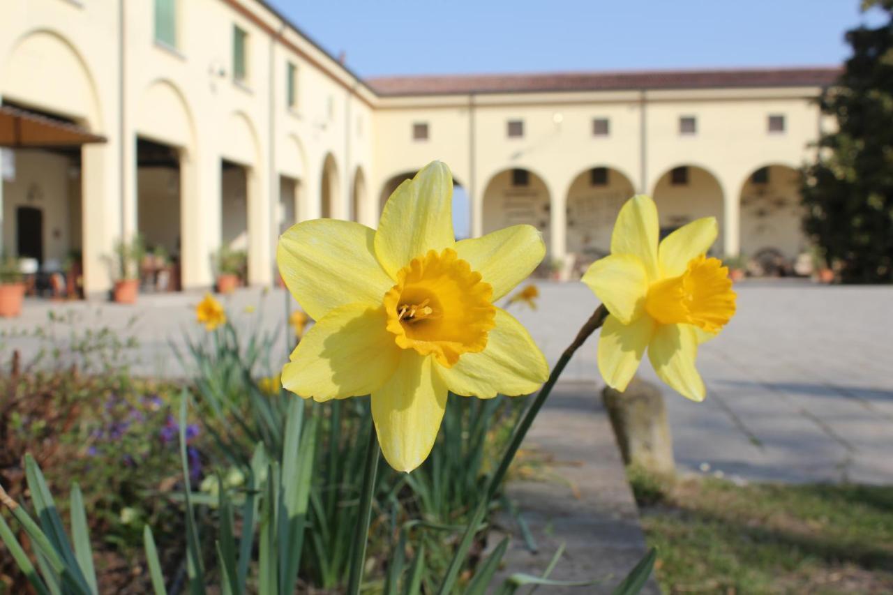 Agriturismo Corte Carezzabella San Martino di Venezze ภายนอก รูปภาพ