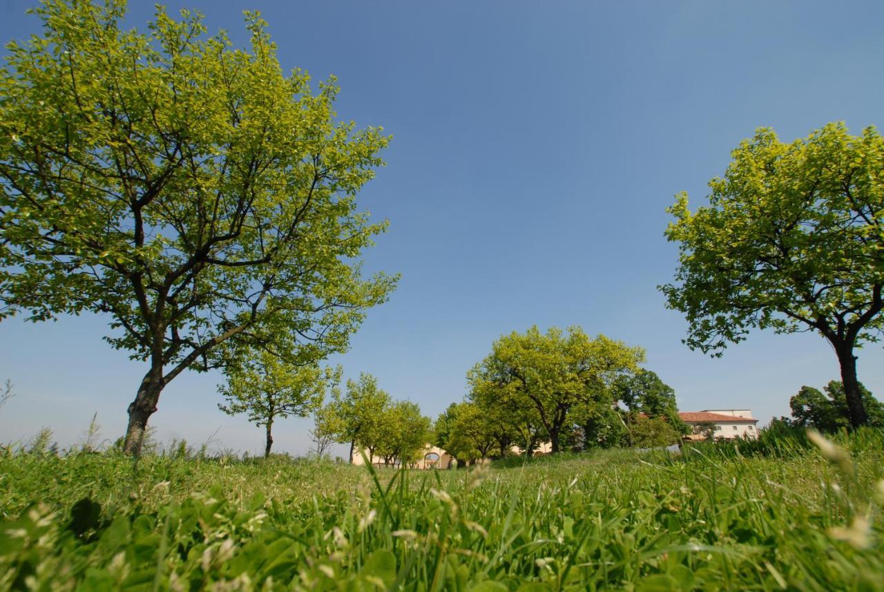 Agriturismo Corte Carezzabella San Martino di Venezze ภายนอก รูปภาพ